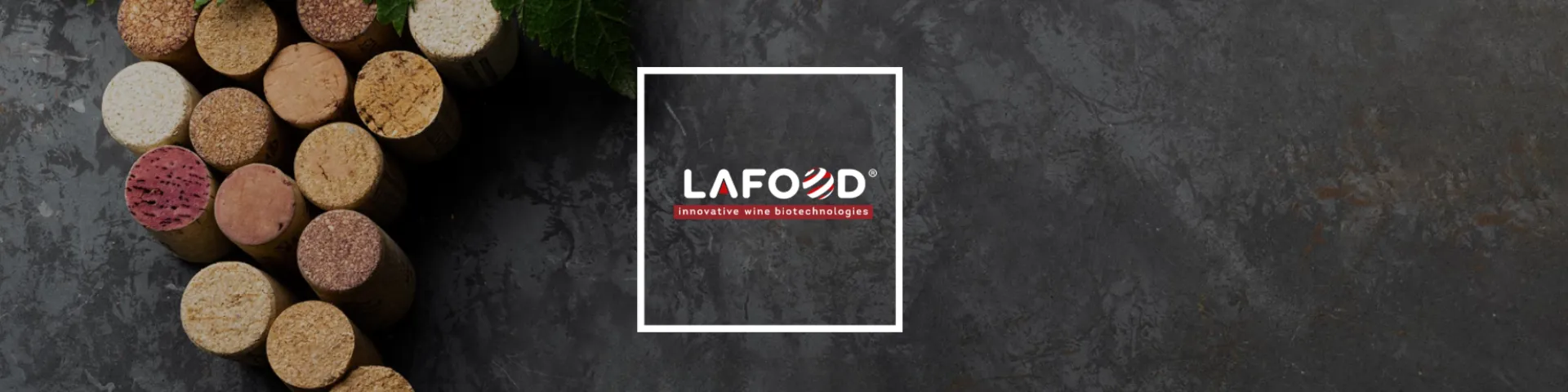 Termékek borstílushoz igazítva – Lafood